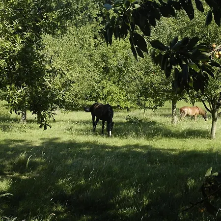 La Bergerie Hébergement de vacances